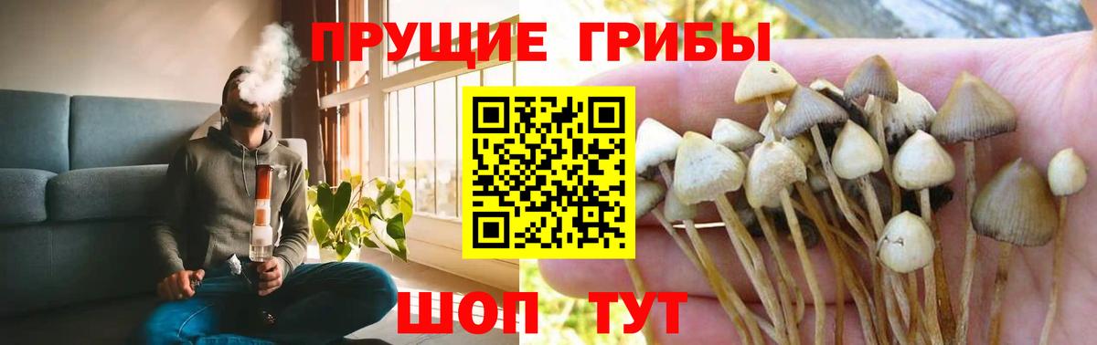 Галлюциногенные грибы мицелий  Псилоцибиновые грибы Psilocybe  Ишимбай  Вход с VPN 